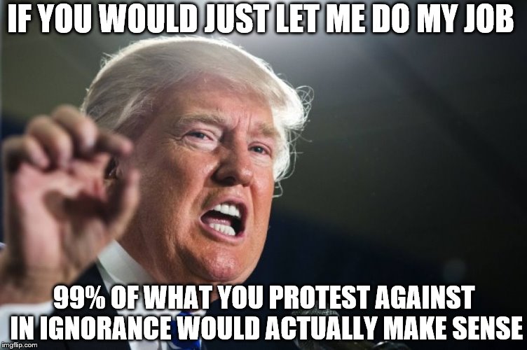 donald trump | IF YOU WOULD JUST LET ME DO MY JOB; 99% OF WHAT YOU PROTEST AGAINST IN IGNORANCE WOULD ACTUALLY MAKE SENSE | image tagged in donald trump | made w/ Imgflip meme maker