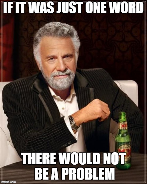 The Most Interesting Man In The World Meme | IF IT WAS JUST ONE WORD THERE WOULD NOT BE A PROBLEM | image tagged in memes,the most interesting man in the world | made w/ Imgflip meme maker