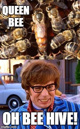 Queen Bee | QUEEN BEE; OH BEE HIVE! | image tagged in austin powers | made w/ Imgflip meme maker