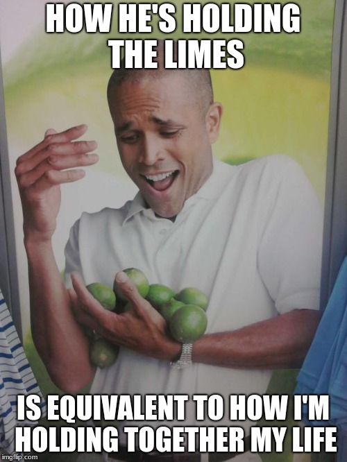 Why Can't I Hold All These Limes Meme | HOW HE'S HOLDING THE LIMES; IS EQUIVALENT TO HOW I'M HOLDING TOGETHER MY LIFE | image tagged in memes,why can't i hold all these limes | made w/ Imgflip meme maker