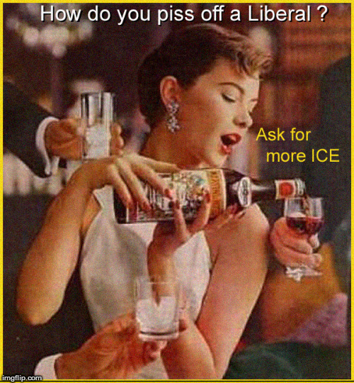 Message to Trump - more ICE please | image tagged in ice,secure the border,illegal immigration,politics lol,funny memes,maga | made w/ Imgflip meme maker