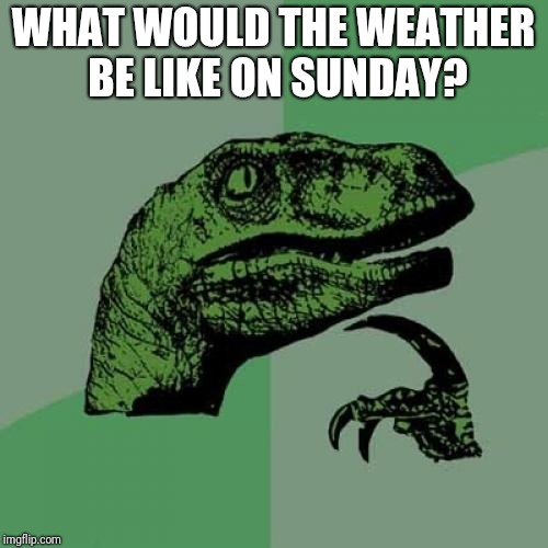 Philosoraptor Meme | WHAT WOULD THE WEATHER BE LIKE ON SUNDAY? | image tagged in memes,philosoraptor | made w/ Imgflip meme maker