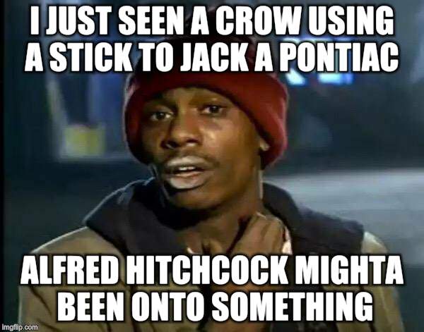 Y'all Got Any More Of That Meme | I JUST SEEN A CROW USING A STICK TO JACK A PONTIAC; ALFRED HITCHCOCK MIGHTA BEEN ONTO SOMETHING | image tagged in memes,y'all got any more of that | made w/ Imgflip meme maker