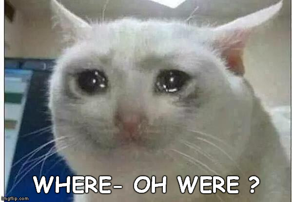 crying cat | WHERE- OH WERE ? | image tagged in crying cat | made w/ Imgflip meme maker