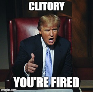 CLITORY; YOU'RE FIRED | image tagged in clinton | made w/ Imgflip meme maker