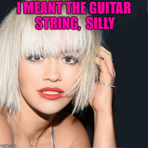 ditz | I MEANT THE GUITAR STRING,  SILLY | image tagged in ditz | made w/ Imgflip meme maker