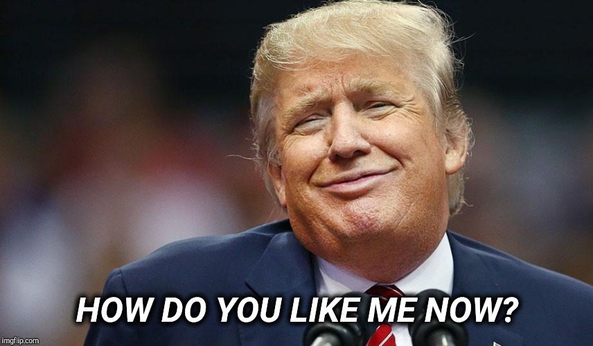 How Do You Like Me Now | HOW DO YOU LIKE ME NOW? | image tagged in donald trump putin,treason,russian hackers,hypocrite,political meme,memes | made w/ Imgflip meme maker