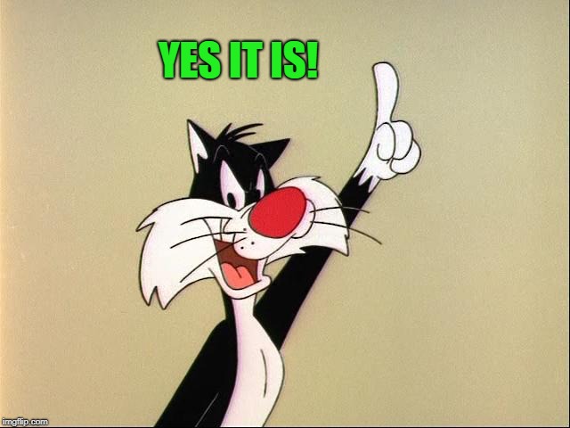 sylvester | YES IT IS! | image tagged in sylvester | made w/ Imgflip meme maker