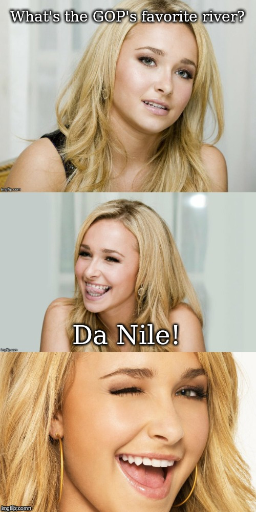 Bad Pun Hayden Panettiere | What's the GOP's favorite river? Da Nile! | image tagged in bad pun hayden panettiere | made w/ Imgflip meme maker