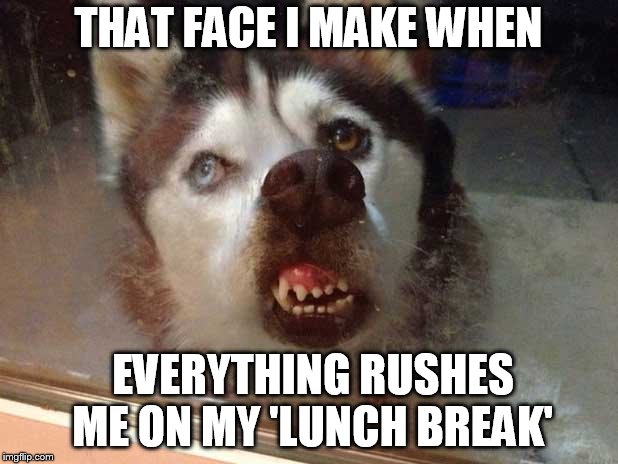 lunch break rush | THAT FACE I MAKE WHEN; EVERYTHING RUSHES ME ON MY 'LUNCH BREAK' | image tagged in lunch | made w/ Imgflip meme maker