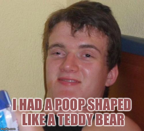 I gotta lay off the hibachi vegetables | I HAD A POOP SHAPED LIKE A TEDDY BEAR | image tagged in memes,10 guy,poop,funny,stupid | made w/ Imgflip meme maker