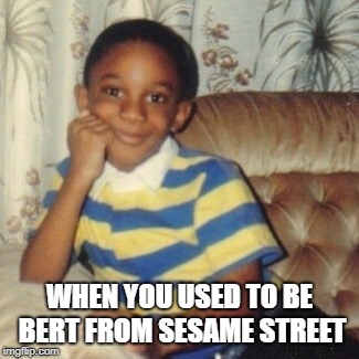 WHEN YOU USED TO BE BERT FROM SESAME STREET | image tagged in abe | made w/ Imgflip meme maker