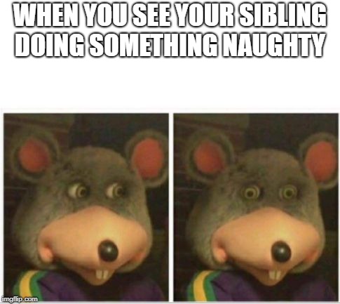 Now's my chance for them to be in trouble | WHEN YOU SEE YOUR SIBLING DOING SOMETHING NAUGHTY | image tagged in chuck e cheese rat stare,siblings,naughty,chance,memes,funny | made w/ Imgflip meme maker