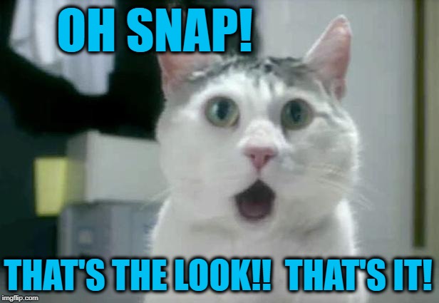 OMG Cat Meme | OH SNAP! THAT'S THE LOOK!!  THAT'S IT! | image tagged in memes,omg cat | made w/ Imgflip meme maker