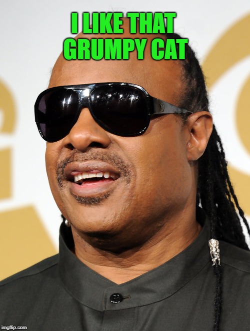 I LIKE THAT GRUMPY CAT | made w/ Imgflip meme maker