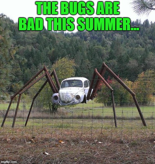 summer bugs | THE BUGS ARE BAD THIS SUMMER... | image tagged in bugs,spider,funny | made w/ Imgflip meme maker