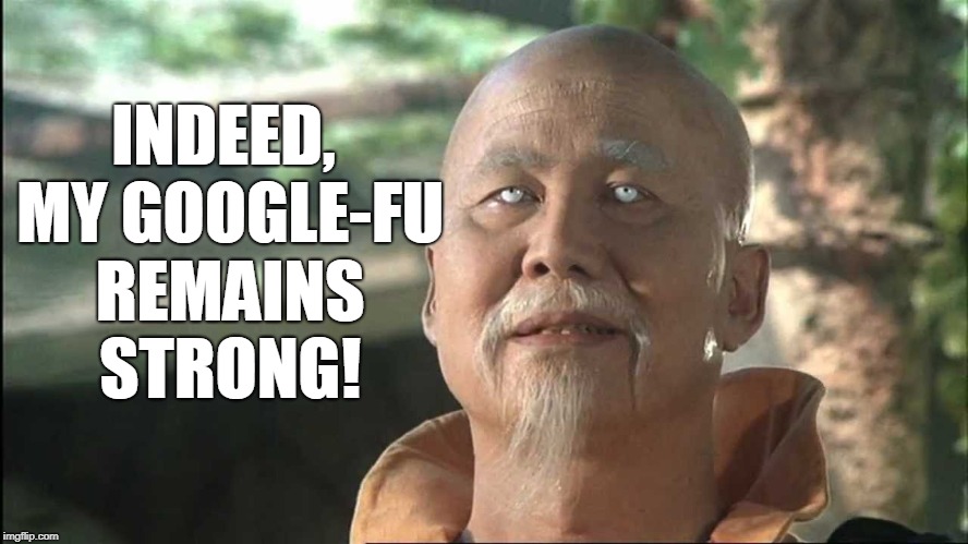Kung Fu Po | INDEED, MY GOOGLE-FU REMAINS STRONG! | image tagged in kung fu po | made w/ Imgflip meme maker