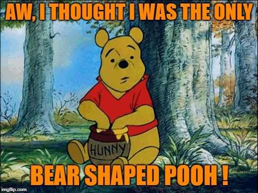AW, I THOUGHT I WAS THE ONLY BEAR SHAPED POOH ! | made w/ Imgflip meme maker