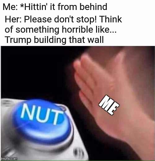 Me: *Hittin' it from behind; Her: Please don't stop! Think of something horrible like... Trump building that wall; ME | image tagged in nut button | made w/ Imgflip meme maker