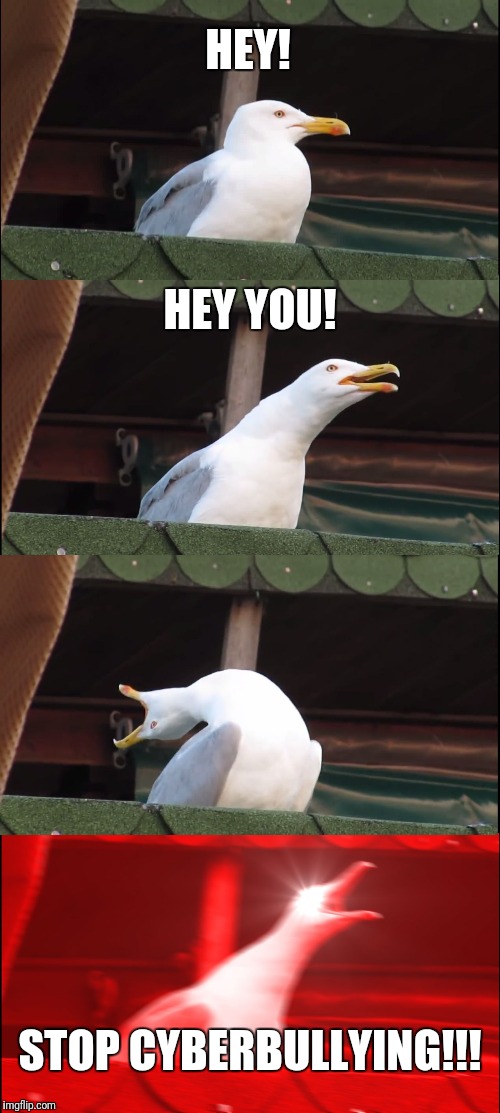 Inhaling Seagull | HEY! HEY YOU! STOP CYBERBULLYING!!! | image tagged in memes,inhaling seagull | made w/ Imgflip meme maker