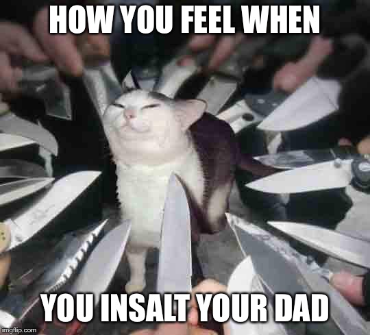 Knife Cat | HOW YOU FEEL WHEN; YOU INSALT YOUR DAD | image tagged in knife cat | made w/ Imgflip meme maker