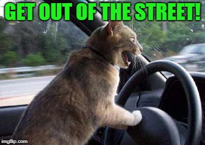 GET OUT OF THE STREET! | made w/ Imgflip meme maker