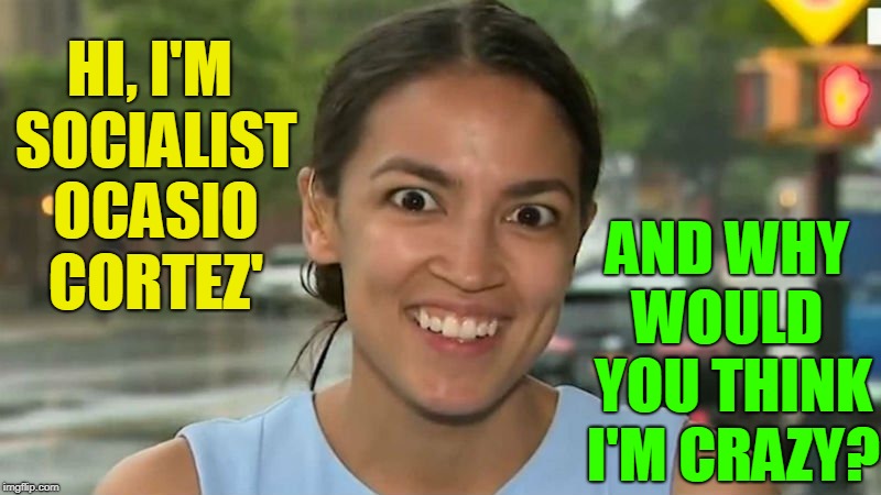 Why Won't You Help Me End ICE? | AND WHY WOULD  YOU THINK I'M CRAZY? HI, I'M SOCIALIST OCASIO CORTEZ' | image tagged in vince vance,socialist ocasio cortez',stark raving mad,insane,communism socialism,socialism | made w/ Imgflip meme maker