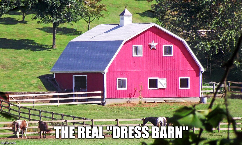 The other stores are lies.. | THE REAL "DRESS BARN" | image tagged in memes,barn,dress,pink,farm | made w/ Imgflip meme maker