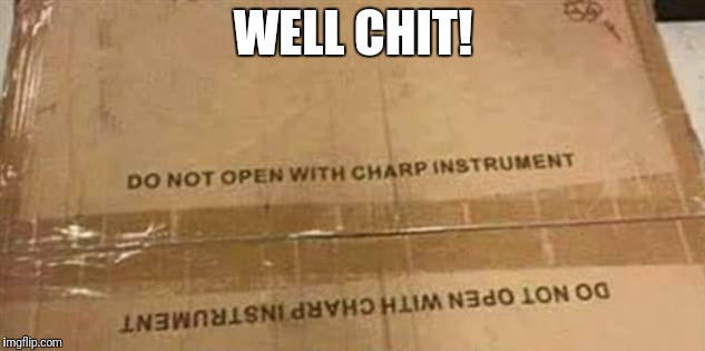 Well chit! | WELL CHIT! | image tagged in funny cardboard boxes,well chit | made w/ Imgflip meme maker