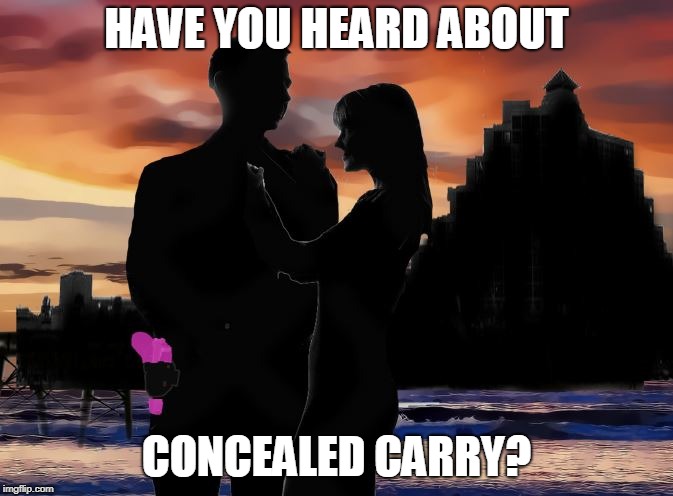 HAVE YOU HEARD ABOUT; CONCEALED CARRY? | image tagged in mark stanton palmer | made w/ Imgflip meme maker