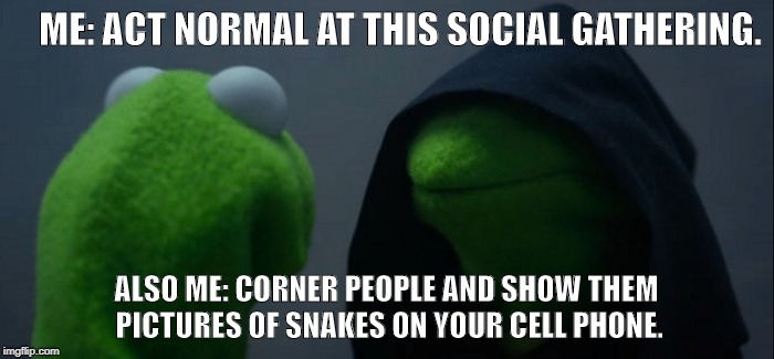 Evil Kermit Meme | ME: ACT NORMAL AT THIS SOCIAL GATHERING. ALSO ME: CORNER PEOPLE AND SHOW THEM PICTURES OF SNAKES ON YOUR CELL PHONE. | image tagged in memes,evil kermit | made w/ Imgflip meme maker