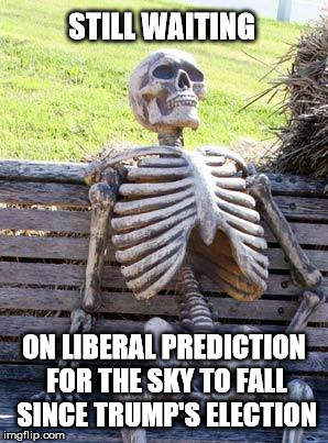 Waiting Skeleton Meme | STILL WAITING; ON LIBERAL PREDICTION FOR THE SKY TO FALL SINCE TRUMP'S ELECTION | image tagged in memes,waiting skeleton | made w/ Imgflip meme maker