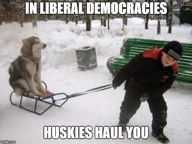 IN LIBERAL DEMOCRACIES; HUSKIES HAUL YOU | image tagged in russia | made w/ Imgflip meme maker