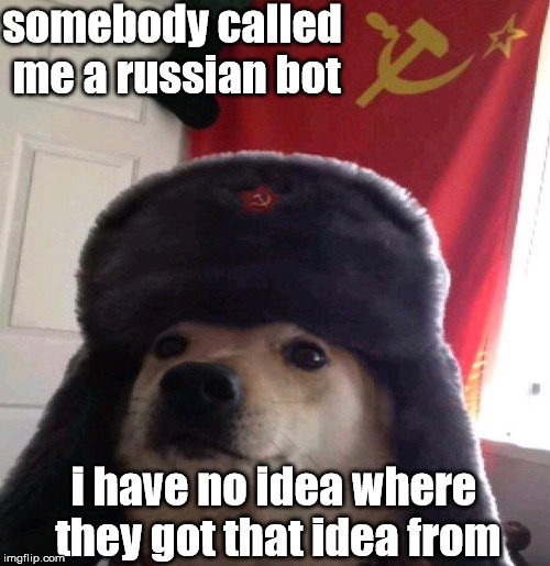 somebody called me a russian bot; i have no idea where they got that idea from | made w/ Imgflip meme maker