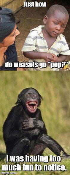 Just how do weasels go "pop?" I was having too much fun to notice. | made w/ Imgflip meme maker