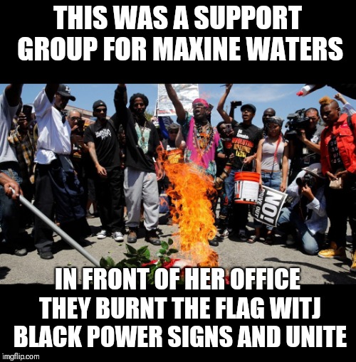  THIS WAS A SUPPORT GROUP FOR MAXINE WATERS; IN FRONT OF HER OFFICE THEY BURNT THE FLAG WITJ BLACK POWER SIGNS AND UNITE | image tagged in maxine waters,anti-american | made w/ Imgflip meme maker