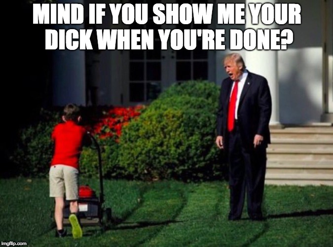 Trump's Strange Request | MIND IF YOU SHOW ME YOUR DICK WHEN YOU'RE DONE? | image tagged in trump yells at lawnmower kid,memes,dick pic,strange,request | made w/ Imgflip meme maker