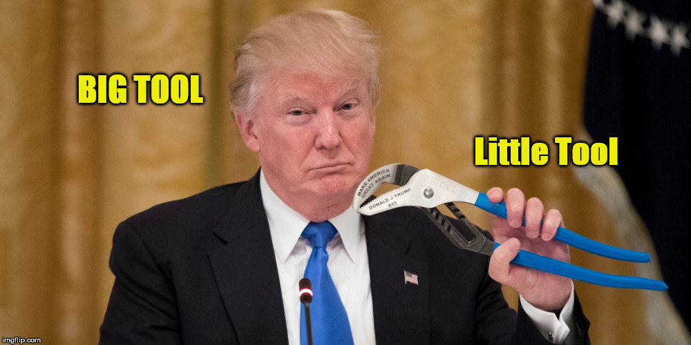 Big Tool And Little Tool | BIG TOOL; Little Tool | image tagged in trump,donald trump,trump tool | made w/ Imgflip meme maker