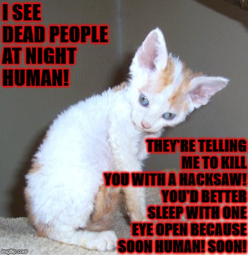 I SEE DEAD PEOPLE AT NIGHT HUMAN! THEY'RE TELLING ME TO KILL YOU WITH A HACKSAW! YOU'D BETTER SLEEP WITH ONE EYE OPEN BECAUSE SOON HUMAN! SOON! | image tagged in dead people | made w/ Imgflip meme maker