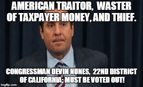 American Traitor | AMERICAN TRAITOR,  WASTER OF TAXPAYER MONEY, AND THIEF. CONGRESSMAN DEVIN NUNES,  22ND DISTRICT OF CALIFORNIA; MUST BE VOTED OUT! | image tagged in devin nunez,congress,politics,vote | made w/ Imgflip meme maker
