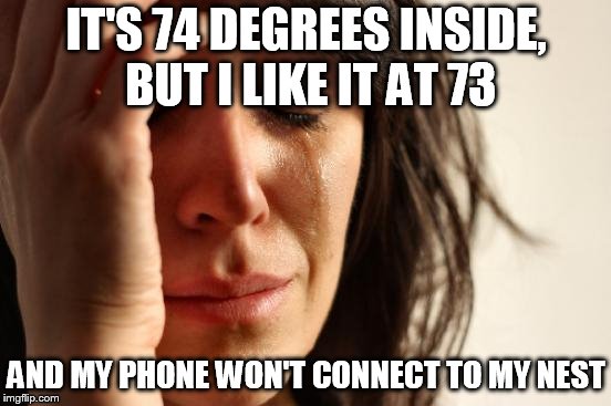 First World Problems Meme | IT'S 74 DEGREES INSIDE, BUT I LIKE IT AT 73; AND MY PHONE WON'T CONNECT TO MY NEST | image tagged in memes,first world problems | made w/ Imgflip meme maker