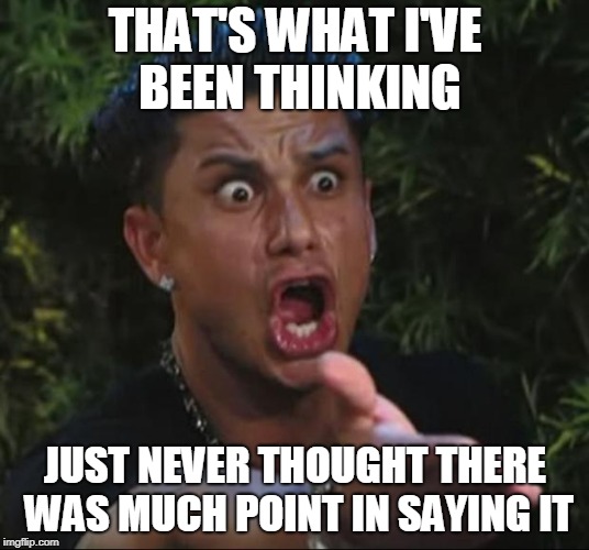 DJ Pauly D Meme | THAT'S WHAT I'VE BEEN THINKING JUST NEVER THOUGHT THERE WAS MUCH POINT IN SAYING IT | image tagged in memes,dj pauly d | made w/ Imgflip meme maker