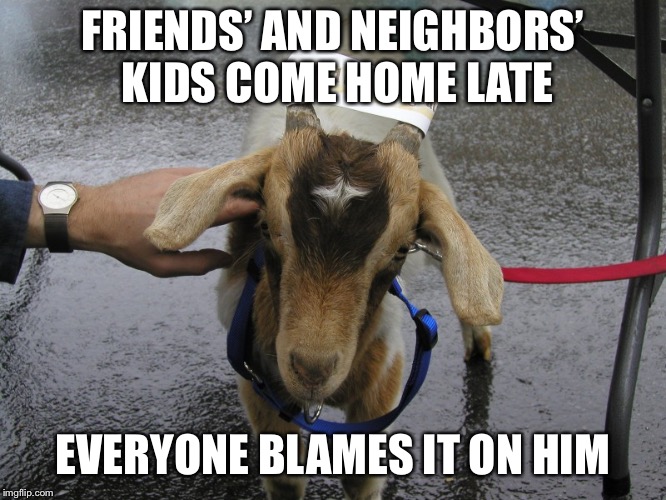Sinbad the Scapegoat  |  FRIENDS’ AND NEIGHBORS’ KIDS COME HOME LATE; EVERYONE BLAMES IT ON HIM | image tagged in sinbad the scapegoat | made w/ Imgflip meme maker