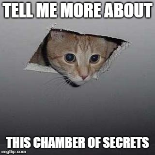 TELL ME MORE ABOUT THIS CHAMBER OF SECRETS | made w/ Imgflip meme maker