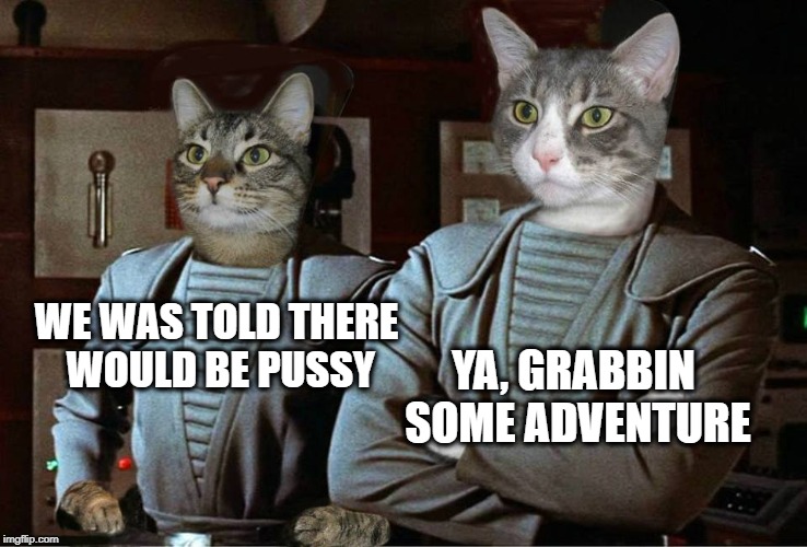 Space Force | WE WAS TOLD THERE WOULD BE PUSSY YA, GRABBIN SOME ADVENTURE | image tagged in space force,pussy,grab them by the pussy,adventure time,cats,cat meme | made w/ Imgflip meme maker
