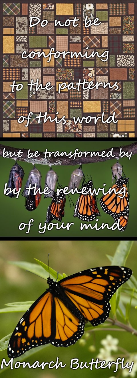 Romans 12:2 Transformation | Do not be; conforming; to the patterns; of this world; but be transformed by; by the renewing; of your mind; Monarch Butterfly | image tagged in bible,holy bible,holy spirit,bible verse,verse,god | made w/ Imgflip meme maker