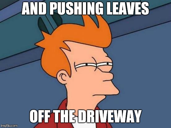Futurama Fry Meme | AND PUSHING LEAVES OFF THE DRIVEWAY | image tagged in memes,futurama fry | made w/ Imgflip meme maker
