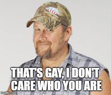 Larry The Cable Guy Meme | THAT'S GAY, I DON'T CARE WHO YOU ARE | image tagged in memes,larry the cable guy | made w/ Imgflip meme maker