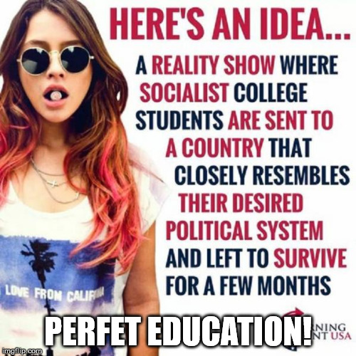 PERFET EDUCATION! | image tagged in liberals | made w/ Imgflip meme maker