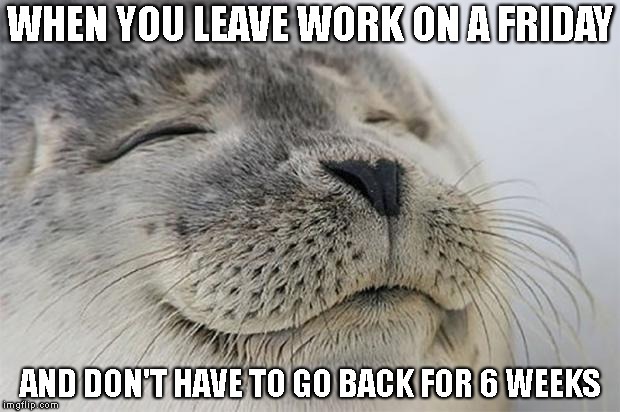 Satisfied Seal Meme | WHEN YOU LEAVE WORK ON A FRIDAY; AND DON'T HAVE TO GO BACK FOR 6 WEEKS | image tagged in memes,satisfied seal | made w/ Imgflip meme maker